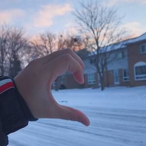 Meet your Posher, Thuy